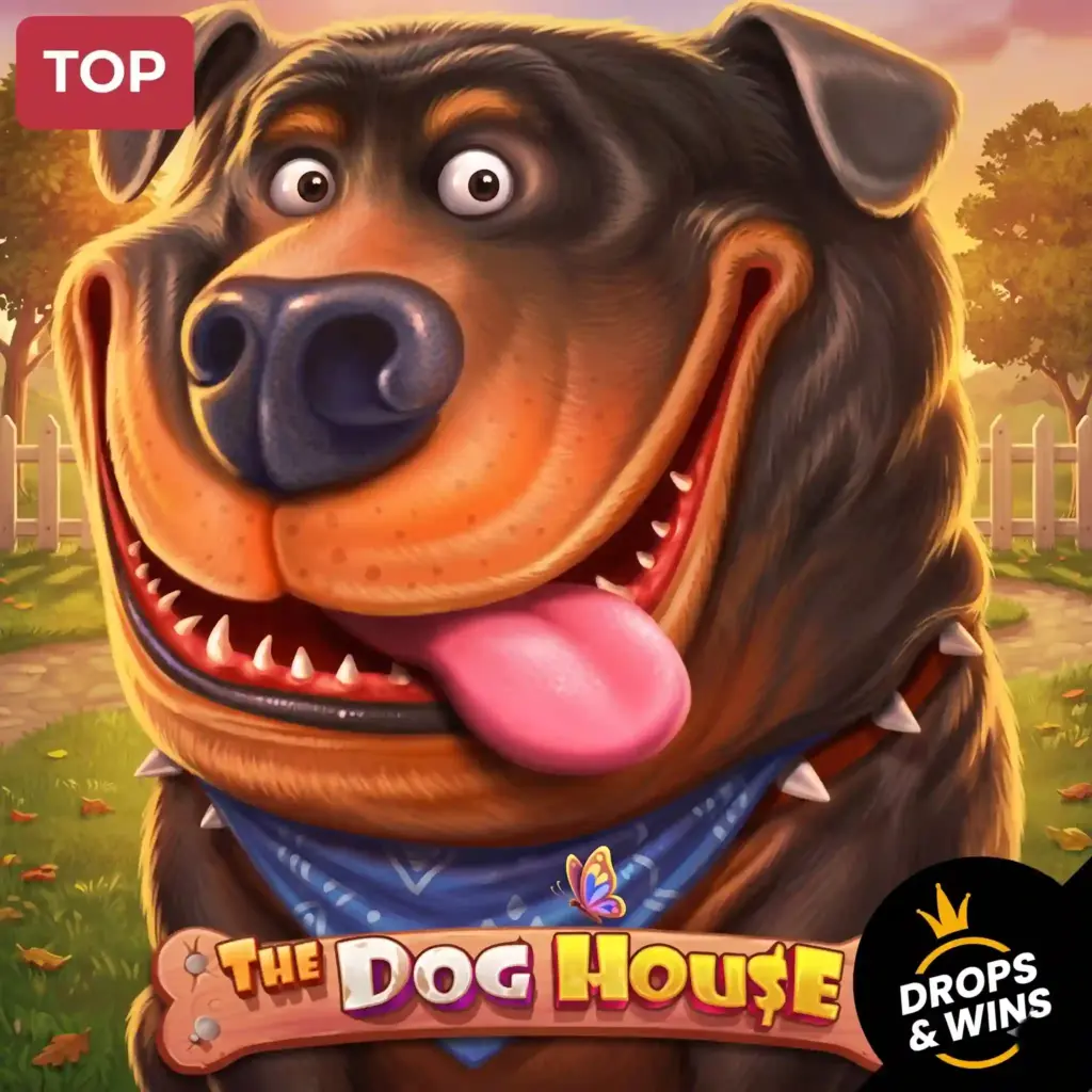 Slot The Dog House